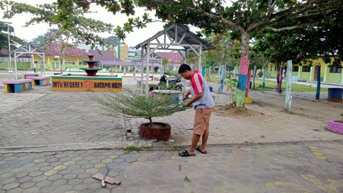 Meski Libur Semester, Perawatan Taman dan Tanaman di MTsN 1 Batang Hari Tetap Berjalan Intensif Meski Libur Semester, Perawatan Taman dan Tanaman di MTsN 1 Batang Hari Tetap Berjalan Intensif