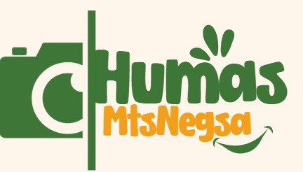 Perkuat Identitas Informasi Publik, MTsN 1 Batang Hari Resmi Luncurkan Logo Humas